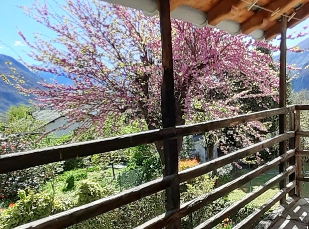 Ca Betulla Novate Mezzola Exterior foto